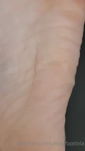7264009