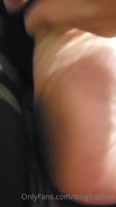 7264079