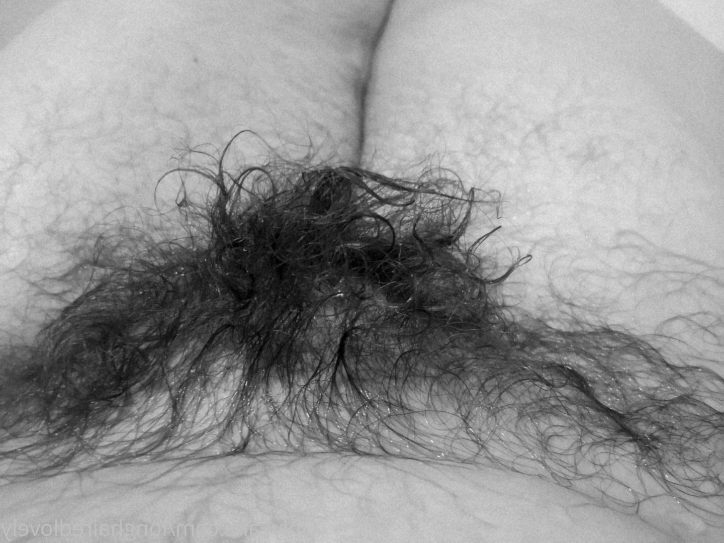 Lovely by name, lewd by nature ;P [ longhairedlovely ] Onlyfans leaked photo 6856458 on Hotleaks.tv