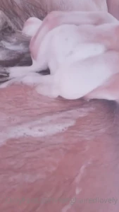 7262659