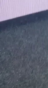 8579614