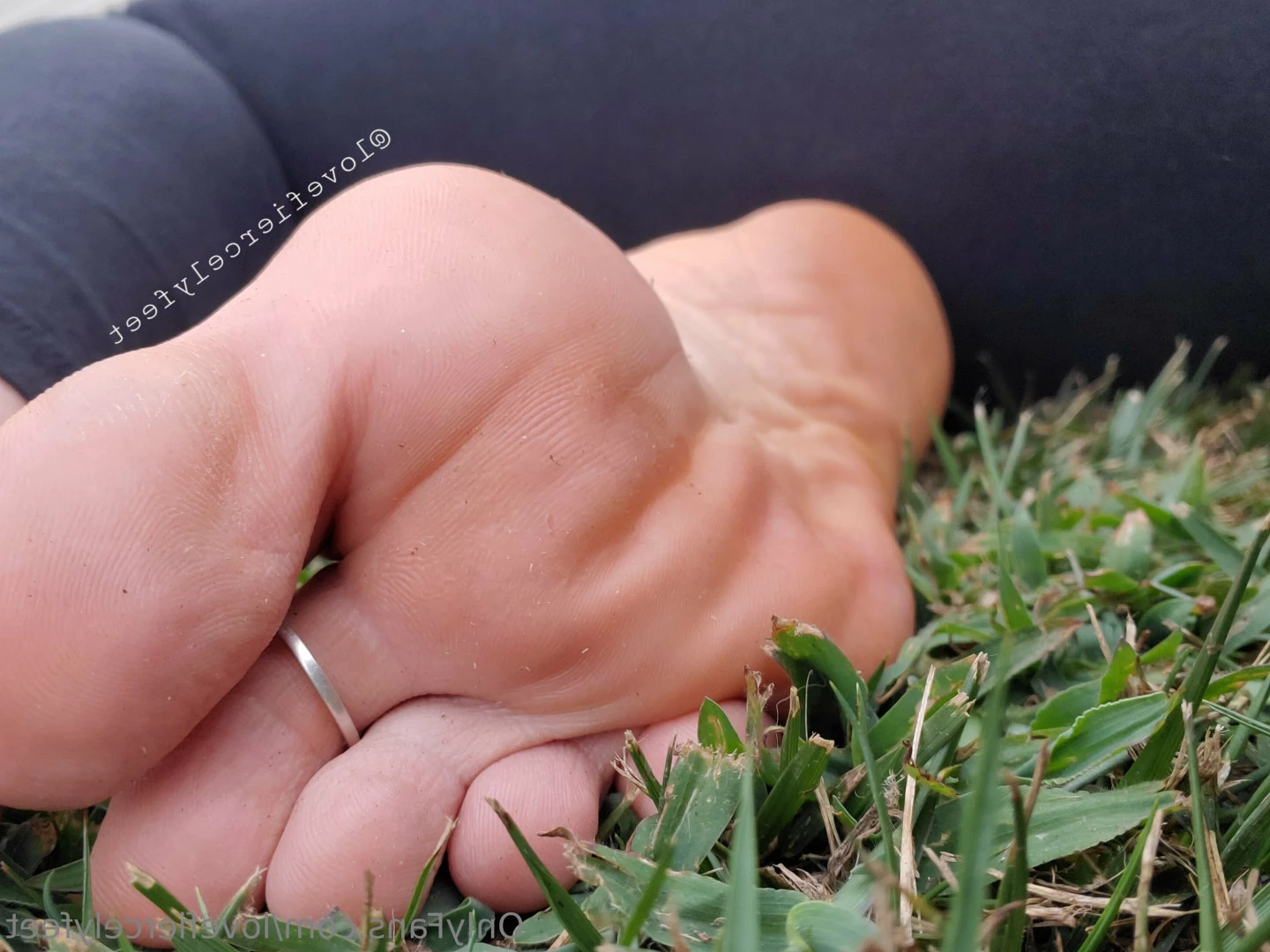 love fiercely [ lovefiercelyfeet ] Onlyfans leaked photo 6823726 on Hotleaks.tv