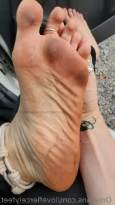 14547219