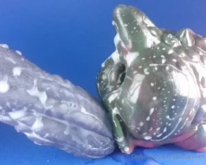 7240253