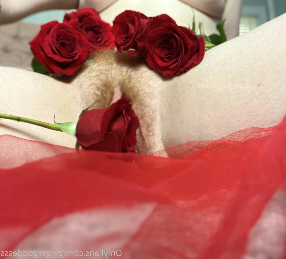 lydia [ lydiahasabush ] Onlyfans leaked photo 6485221 on Hotleaks.tv