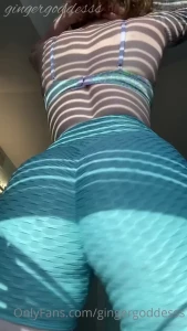 7239411