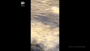 made4lovingbbc Onlyfans leaked video 7231757 on Hotleaks.tv