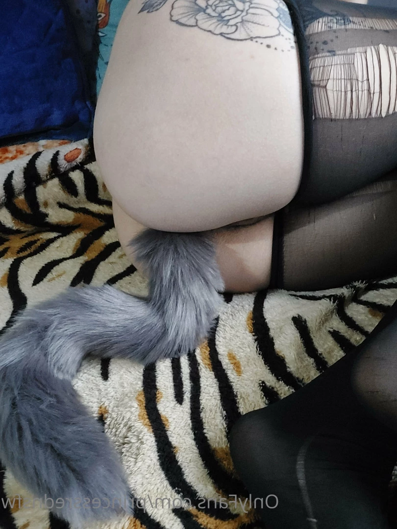 Mad schulz [ madlineschulz ] Onlyfans leaked photo 7082530 on Hotleaks.tv