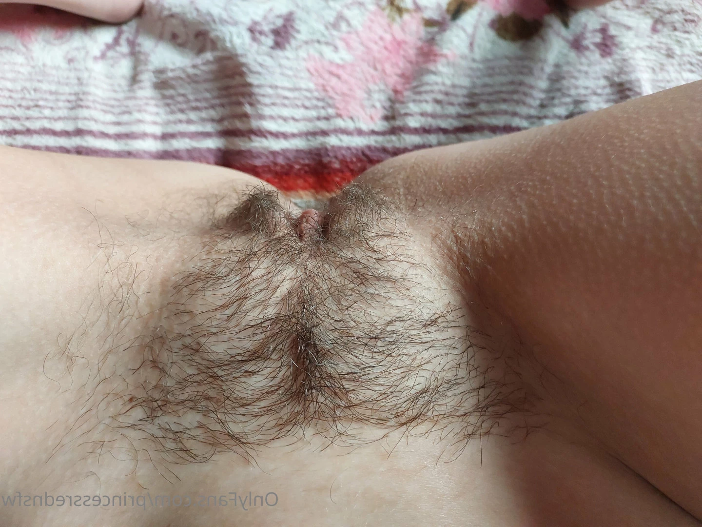 Mad schulz [ madlineschulz ] Onlyfans leaked photo 7082900 on Hotleaks.tv
