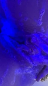 7226058