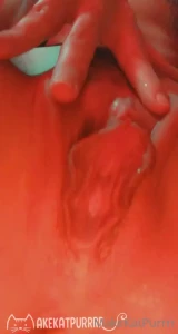 7226067