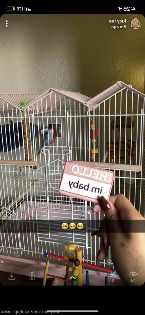 lucy lee ʕ； •`ᴥ•´ʔ [ mankoprincess ] Onlyfans leaked photo 6830943 on Hotleaks.tv