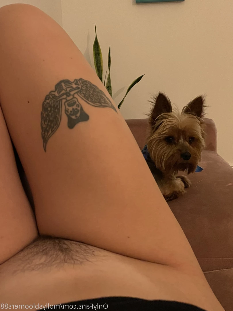 Molly Bloom [ mollysbloomers88 ] Onlyfans leaked photo 7486409 on Hotleaks.tv