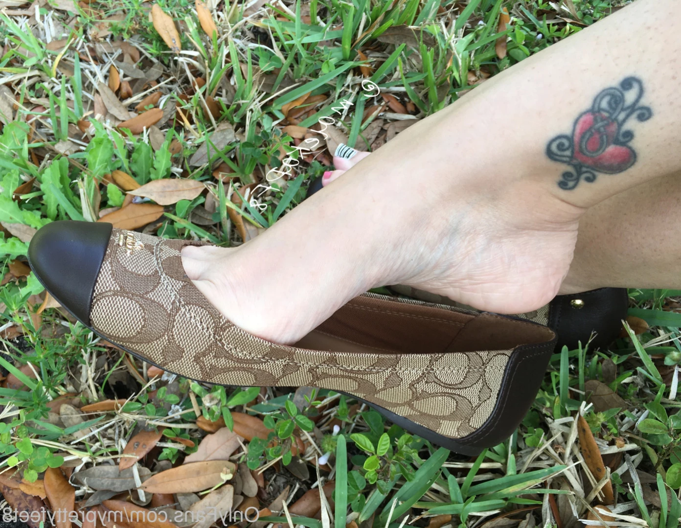 myprettyfeet8 Onlyfans leaked photo 16088465 on Hotleaks.tv