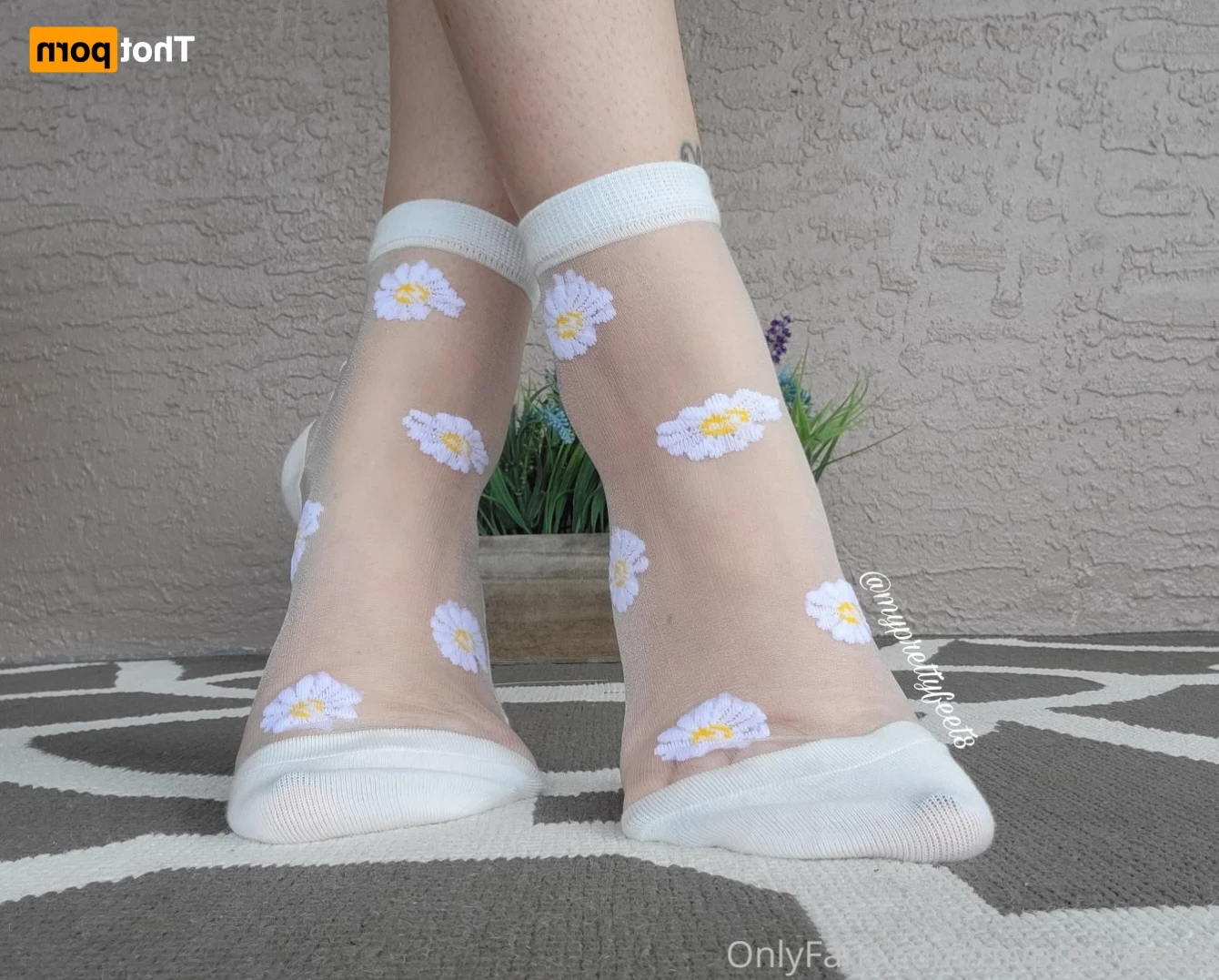 myprettyfeet8 Onlyfans leaked photo 16444846 on Hotleaks.tv