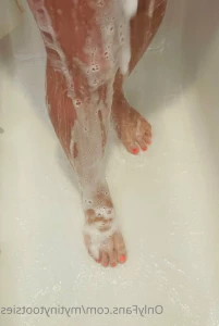 7399251
