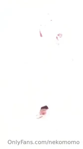 18250208