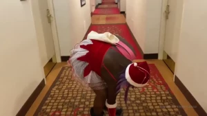 Bigoltiddybitty 👅 [ nikkistackzzz ] Onlyfans leaked video 7104573 on Hotleaks.tv