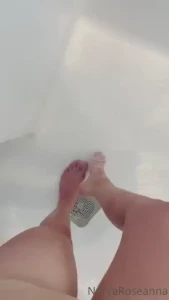 18250076