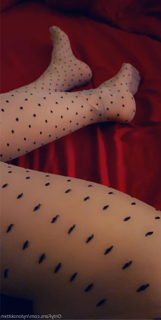 nylonskitten Onlyfans leaked photo 11074038 on Hotleaks.tv