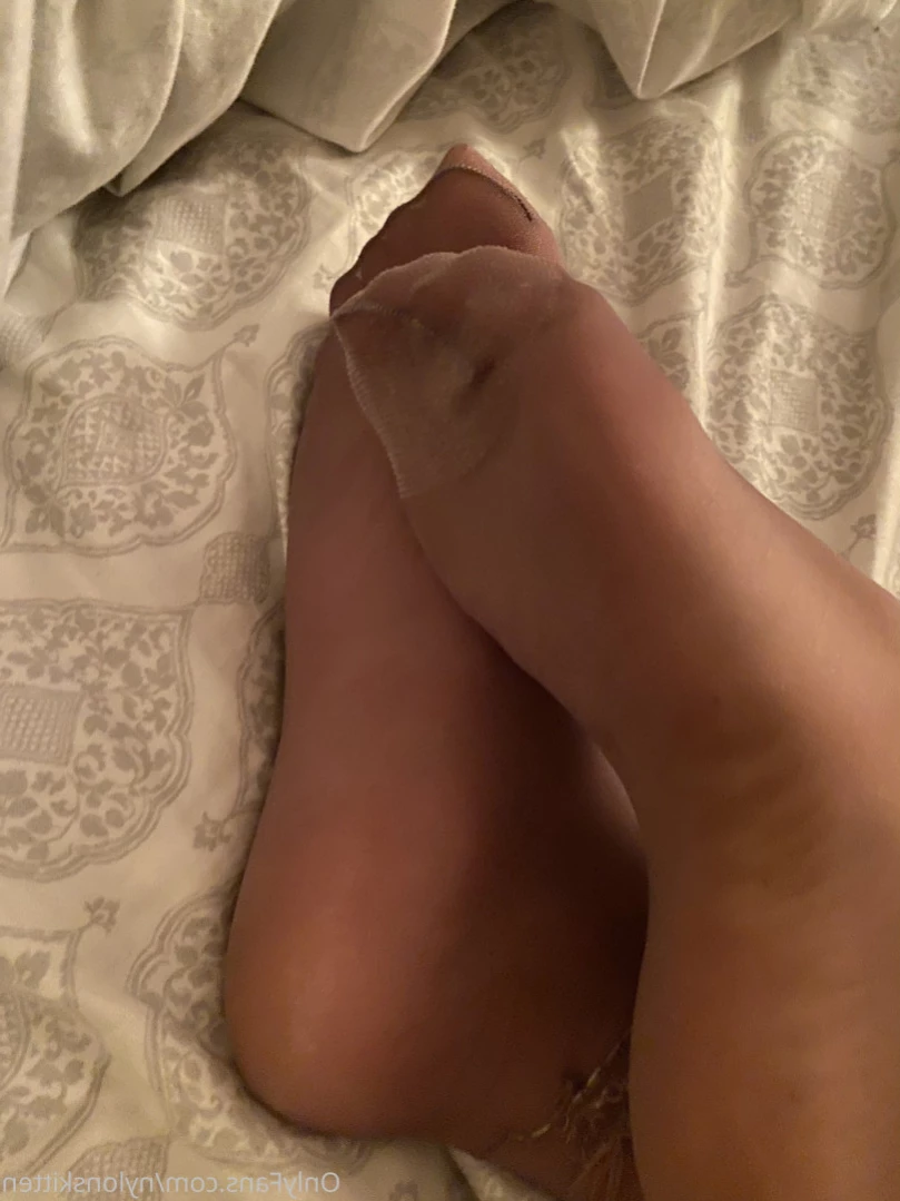 nylonskitten Onlyfans leaked photo 11074134 on Hotleaks.tv