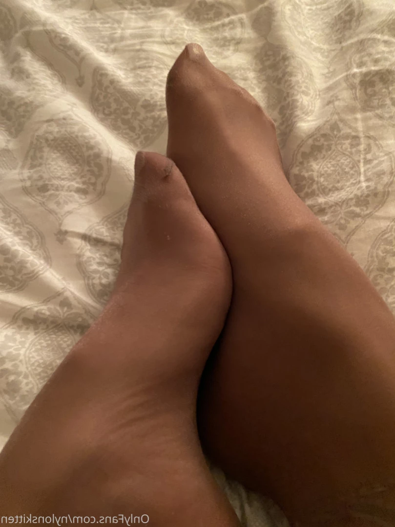 nylonskitten Onlyfans leaked photo 11074338 on Hotleaks.tv