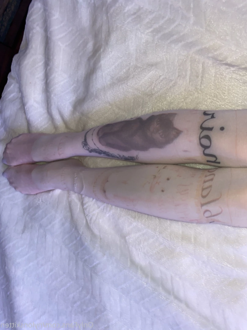 nylonskitten Onlyfans leaked photo 11432229 on Hotleaks.tv