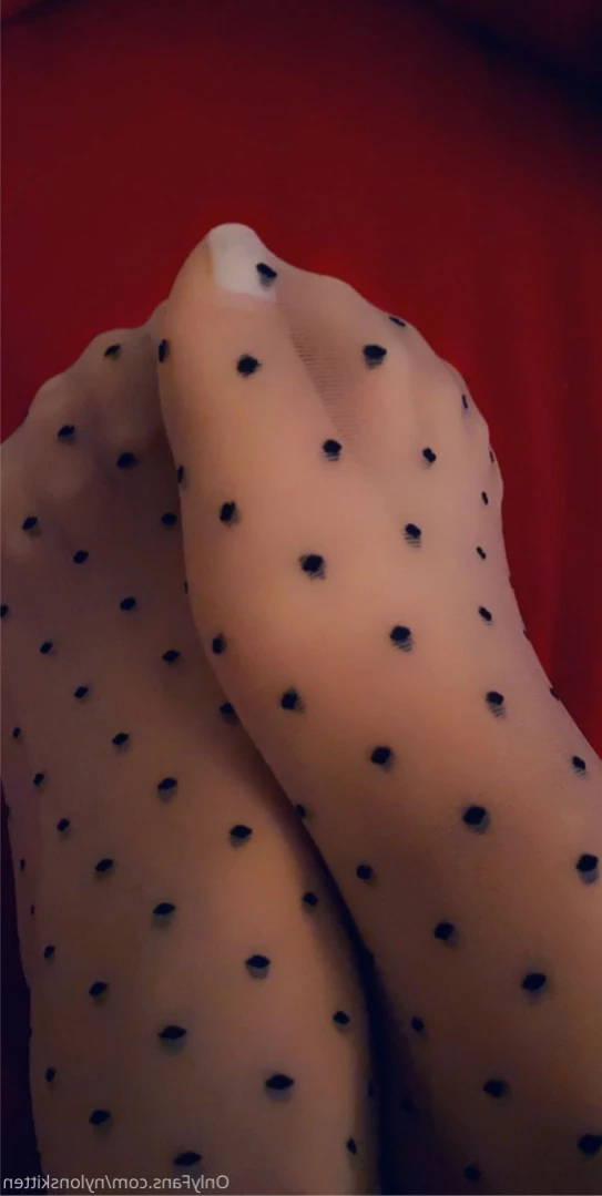 nylonskitten Onlyfans leaked photo 11687363 on Hotleaks.tv