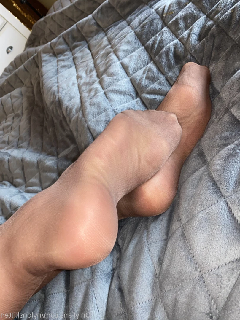 nylonskitten Onlyfans leaked photo 12033725 on Hotleaks.tv