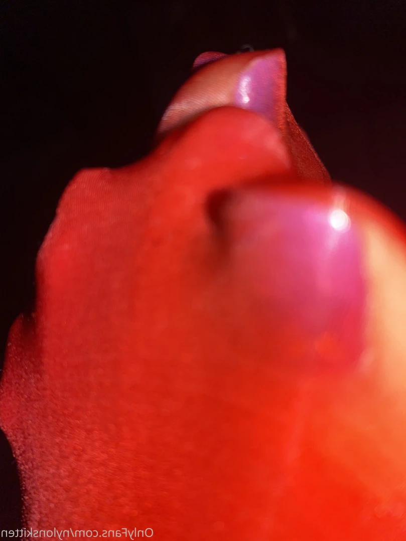 nylonskitten Onlyfans leaked photo 12388251 on Hotleaks.tv