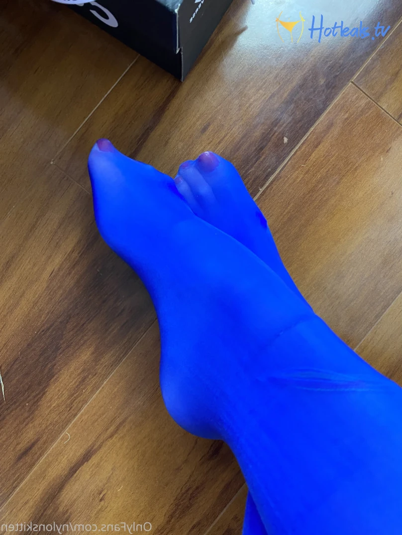 nylonskitten Onlyfans leaked photo 13664216 on Hotleaks.tv