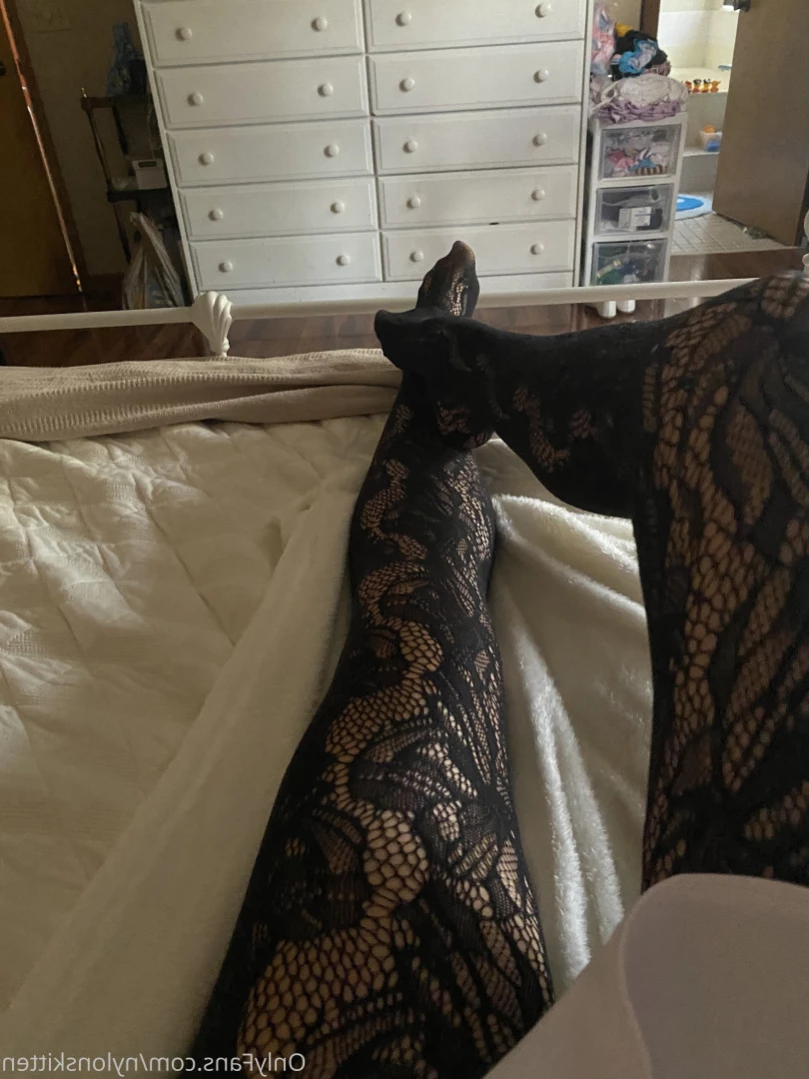 nylonskitten Onlyfans leaked photo 14104169 on Hotleaks.tv