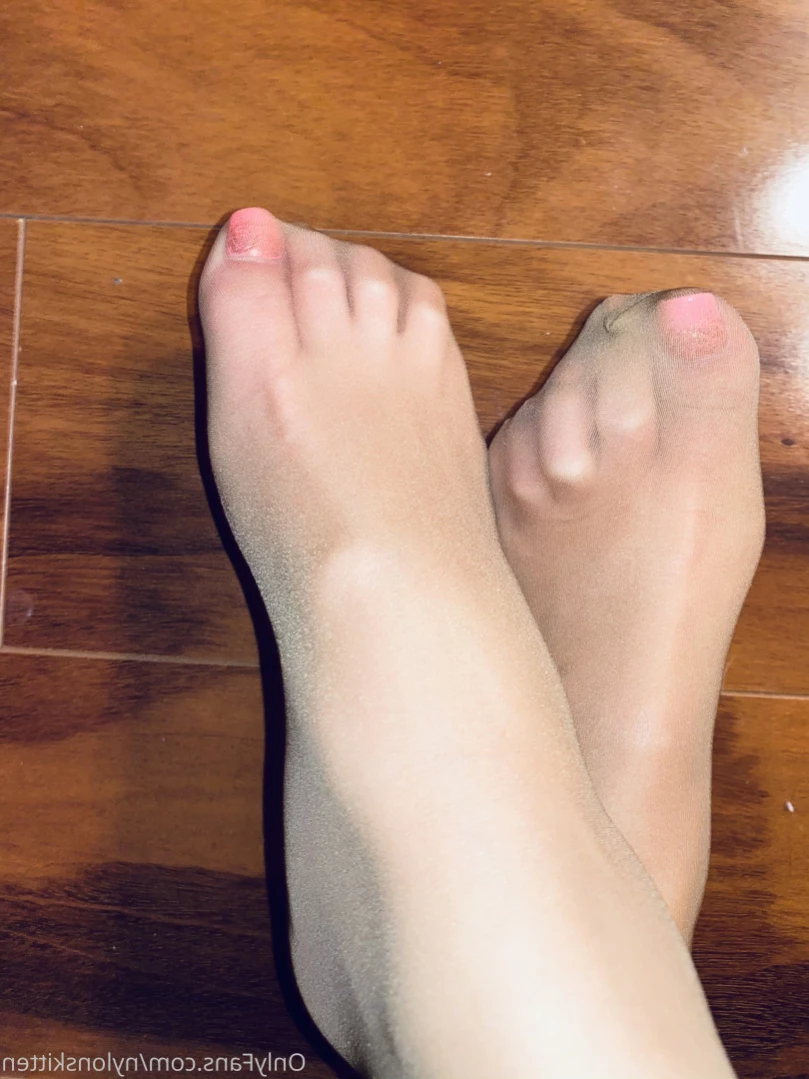 nylonskitten Onlyfans leaked photo 14695840 on Hotleaks.tv