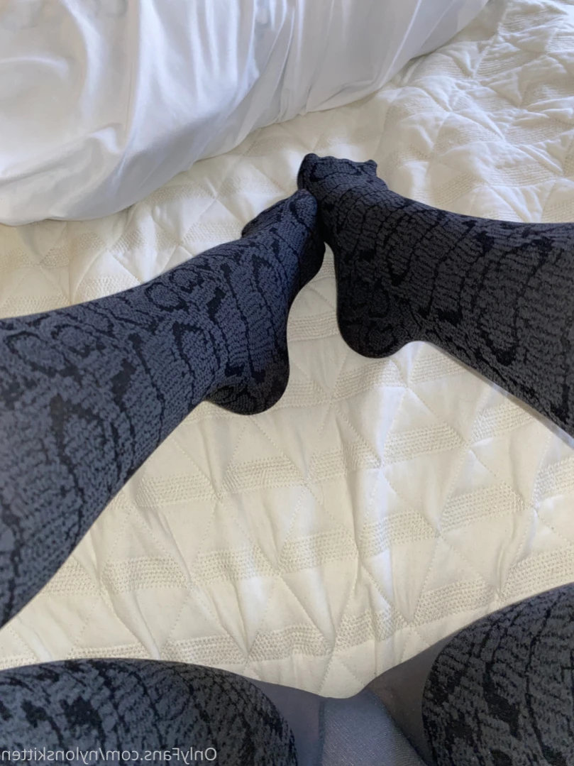 nylonskitten Onlyfans leaked photo 14717046 on Hotleaks.tv