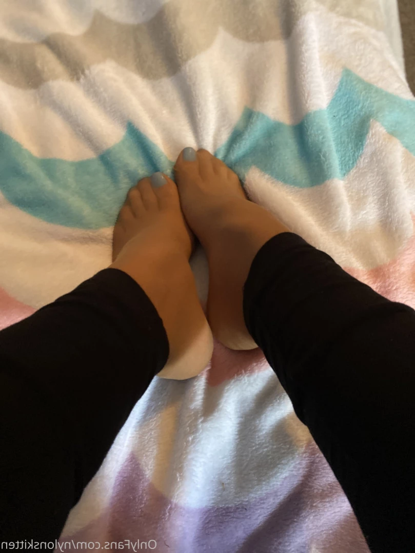 nylonskitten Onlyfans leaked photo 14891313 on Hotleaks.tv