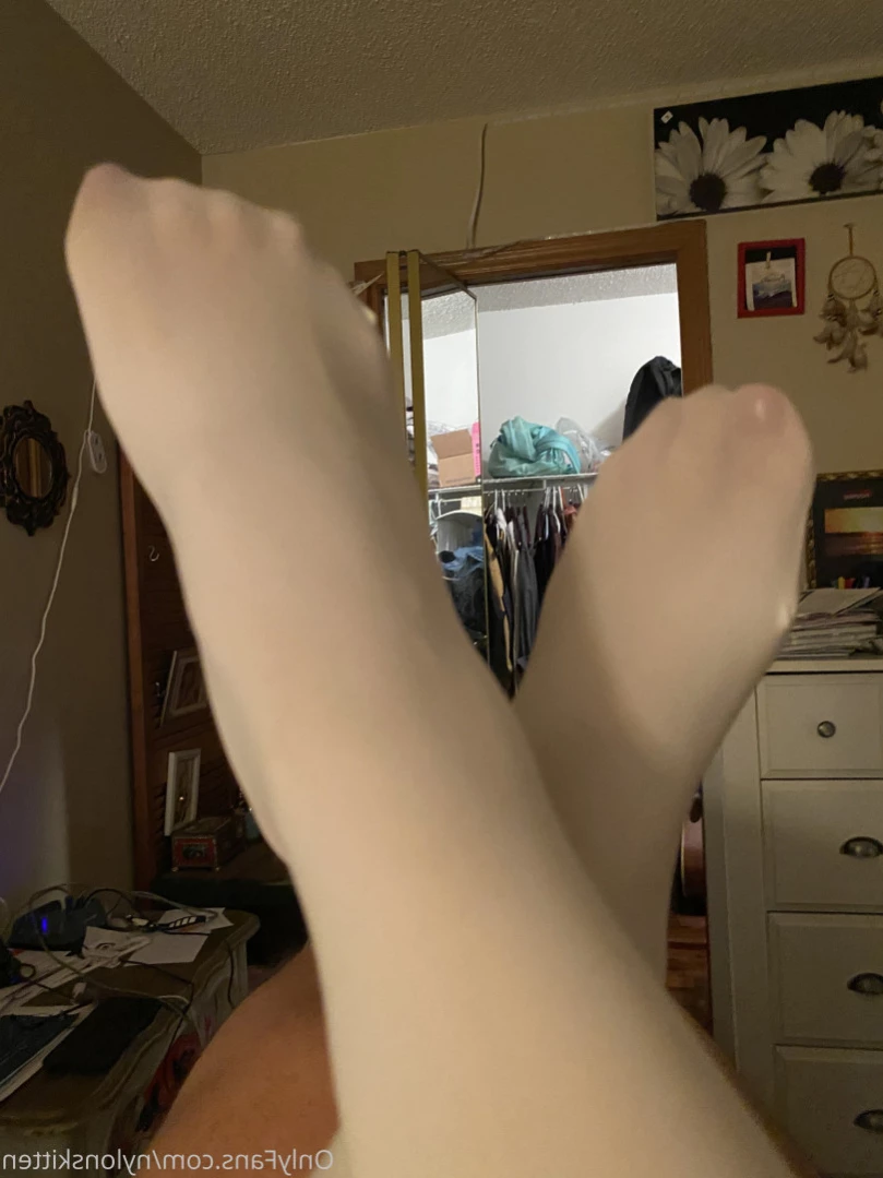 nylonskitten Onlyfans leaked photo 14975712 on Hotleaks.tv