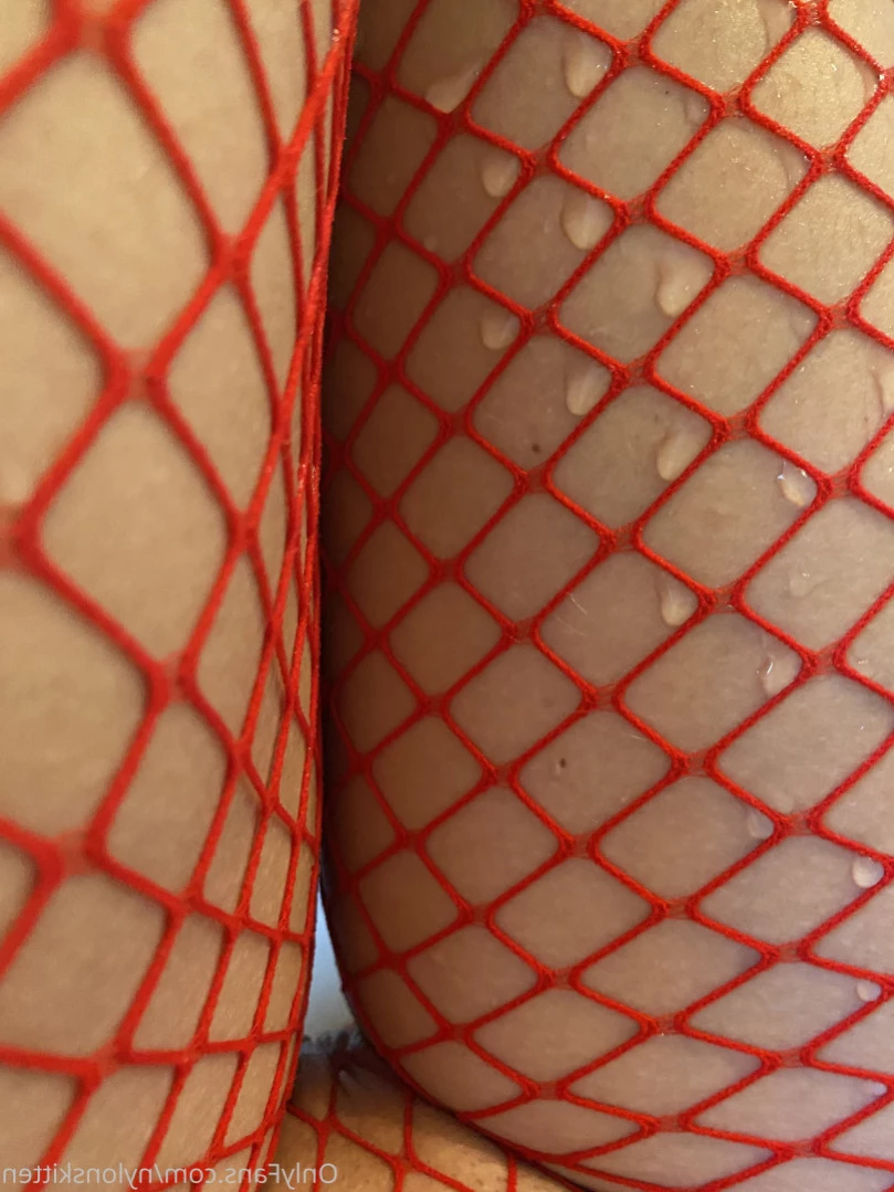 nylonskitten Onlyfans leaked photo 15374840 on Hotleaks.tv