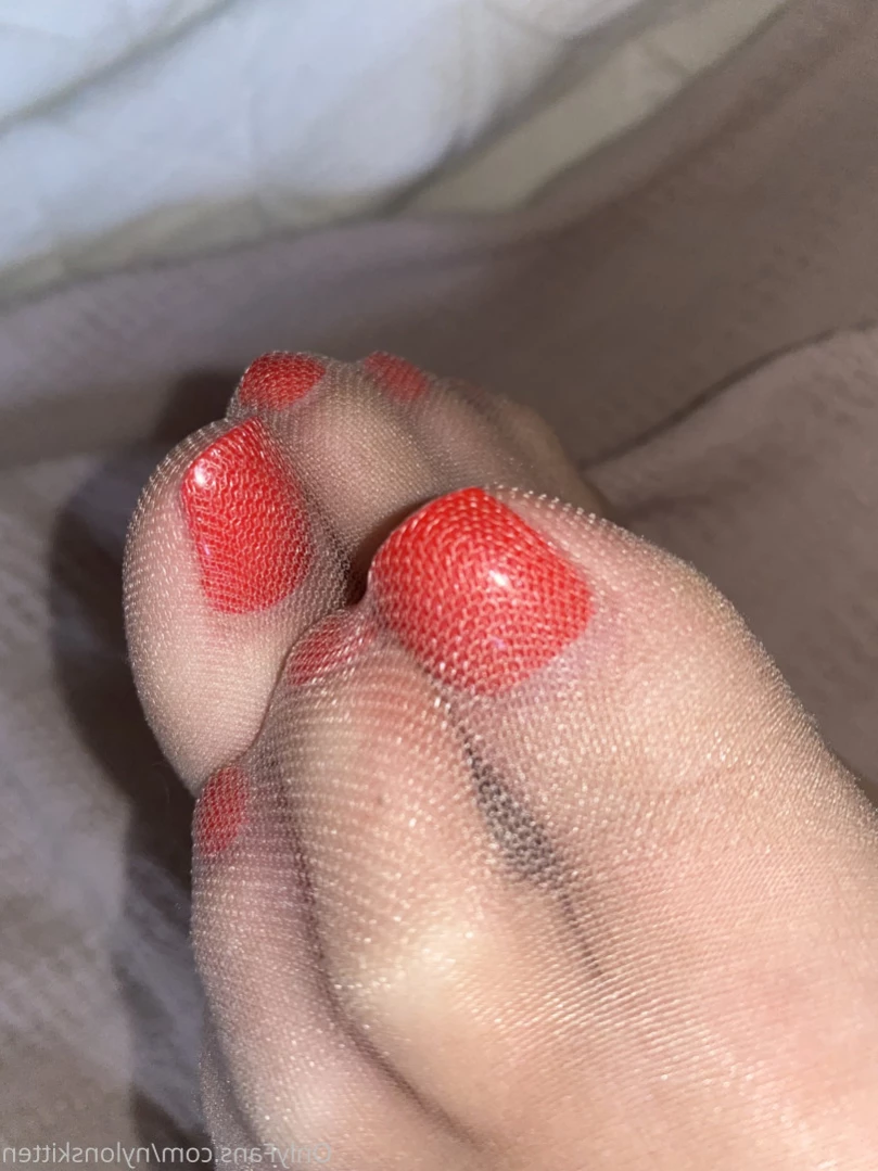 nylonskitten Onlyfans leaked photo 15459407 on Hotleaks.tv