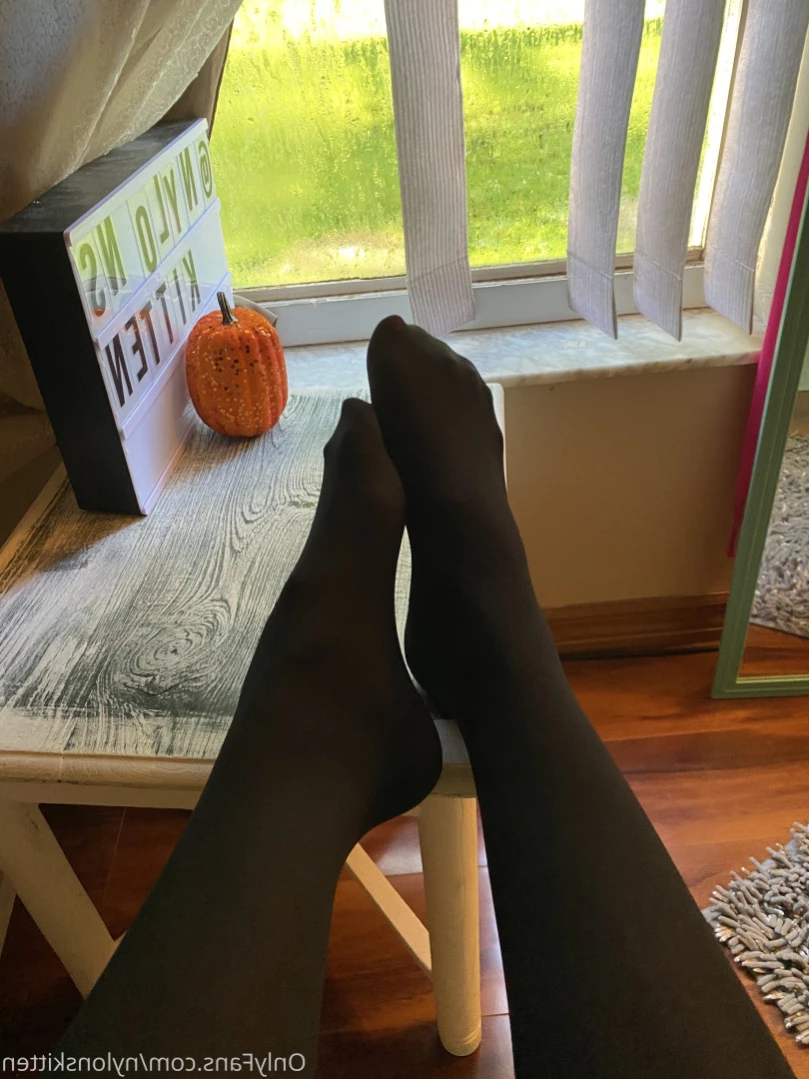 nylonskitten Onlyfans leaked photo 15699363 on Hotleaks.tv