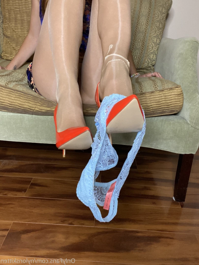 nylonskitten Onlyfans leaked photo 16318406 on Hotleaks.tv