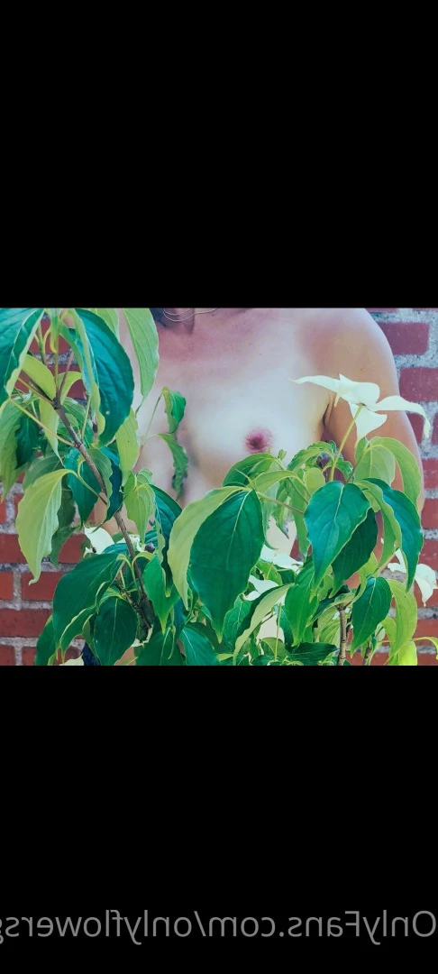 onlyflowersgirl Onlyfans leaked photo 7334086 on Hotleaks.tv