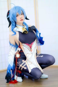 15637217