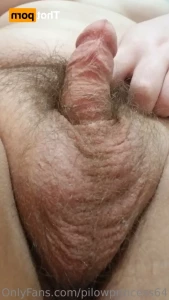16504049