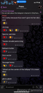 16883639
