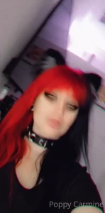 7042134