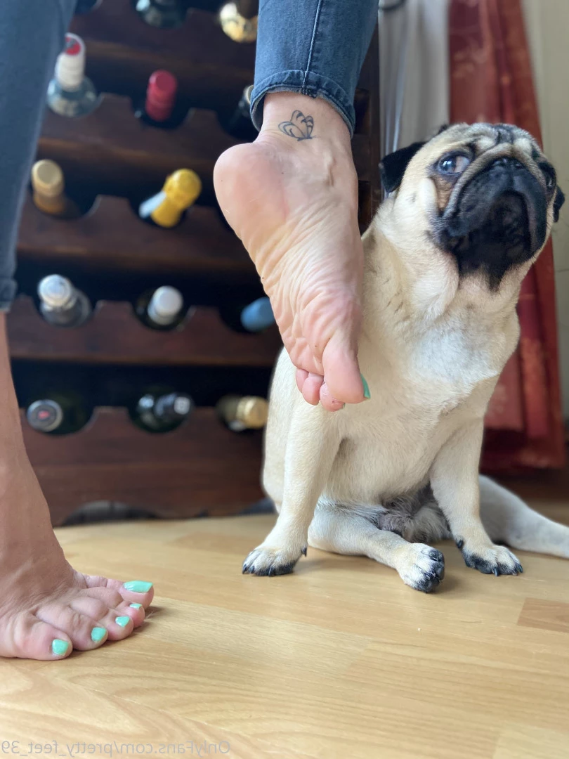 Goddess Vanessa [ pretty_feet_39 ] Onlyfans leaked photo 7175709 on Hotleaks.tv