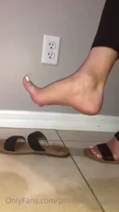 18248826