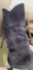 7032294