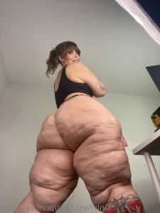 13757011