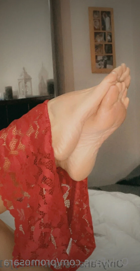 Promo / Creator Sarra🔝0,2% [ promosara ] Onlyfans leaked photo 7165432 on Hotleaks.tv